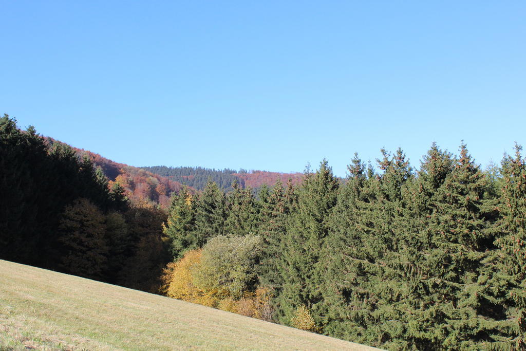 Ferienwohnung Emde Willingen  Extérieur photo