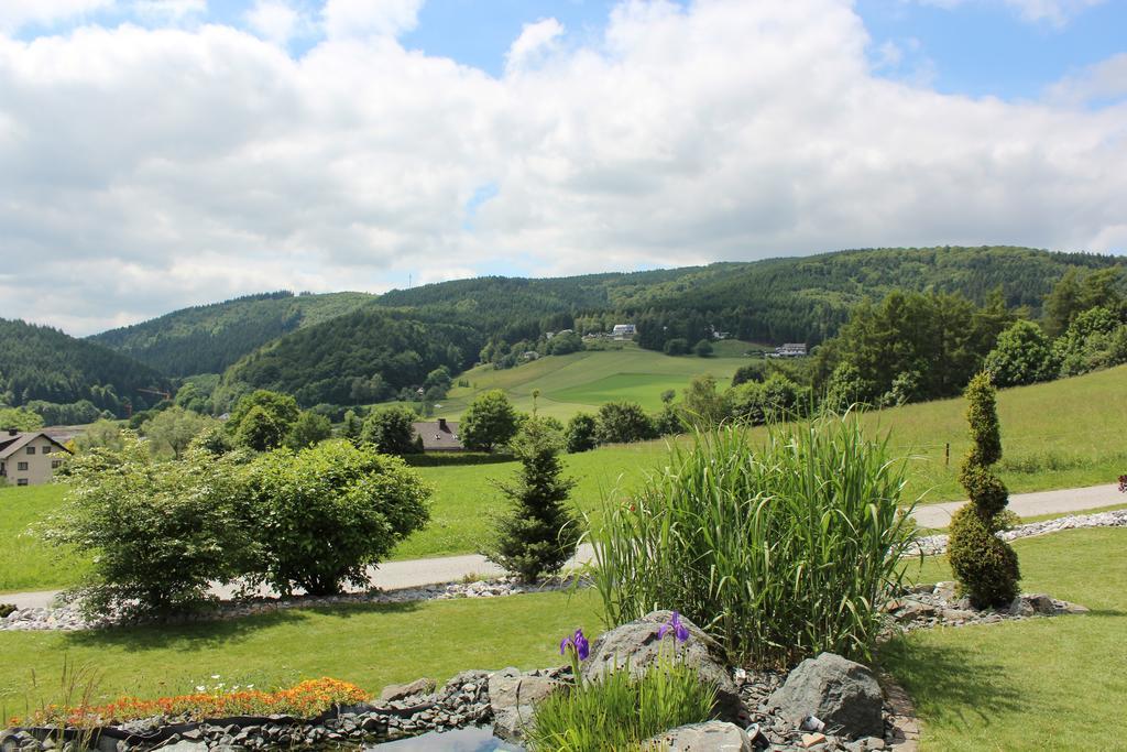 Ferienwohnung Emde Willingen  Extérieur photo